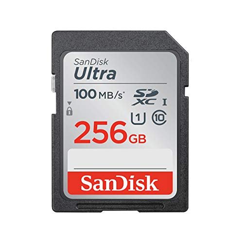 SanDisk 256GB Ultra SDXC UHS-I Memory Card - 100MB/s, C10, U1, Full HD, SD  Card - SDSDUNR-256G-GN6IN